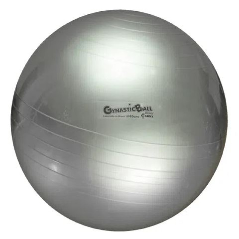 Bola Exercícios Gym Ball 65cm - Acte no Shoptime